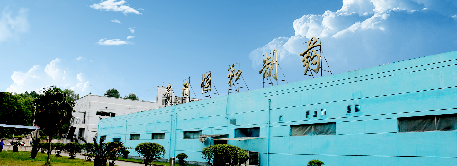 公司簡(jiǎn)介